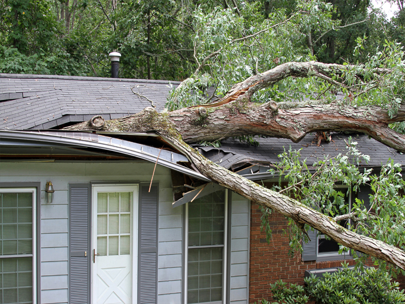 Storm Damage Victoria